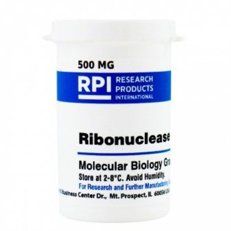 RPI Ribonuclease A, 500 MG R21750-0.5